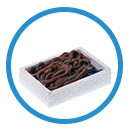 Live Baits