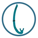 Snorkels