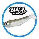 Black Minnow